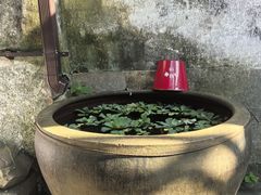 -宁波市保国寺古建筑博物馆