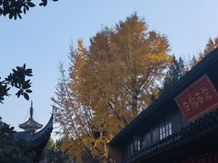 -龙华素斋(龙华路店)