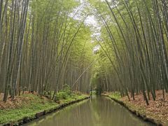 -同里国家湿地公园