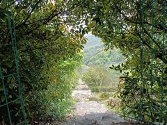 -东山风景区(洞庭东山)