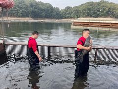 -解家河南菜(商鼎路店)