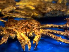 -上和臻品中国菜(花园街店)