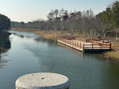 -上海海湾国家森林公园