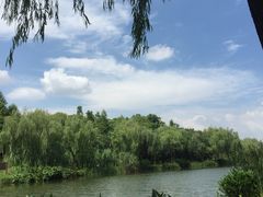 -新江湾城公园