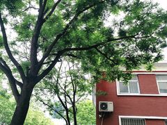 -恒记金煎包(指南里小区店)