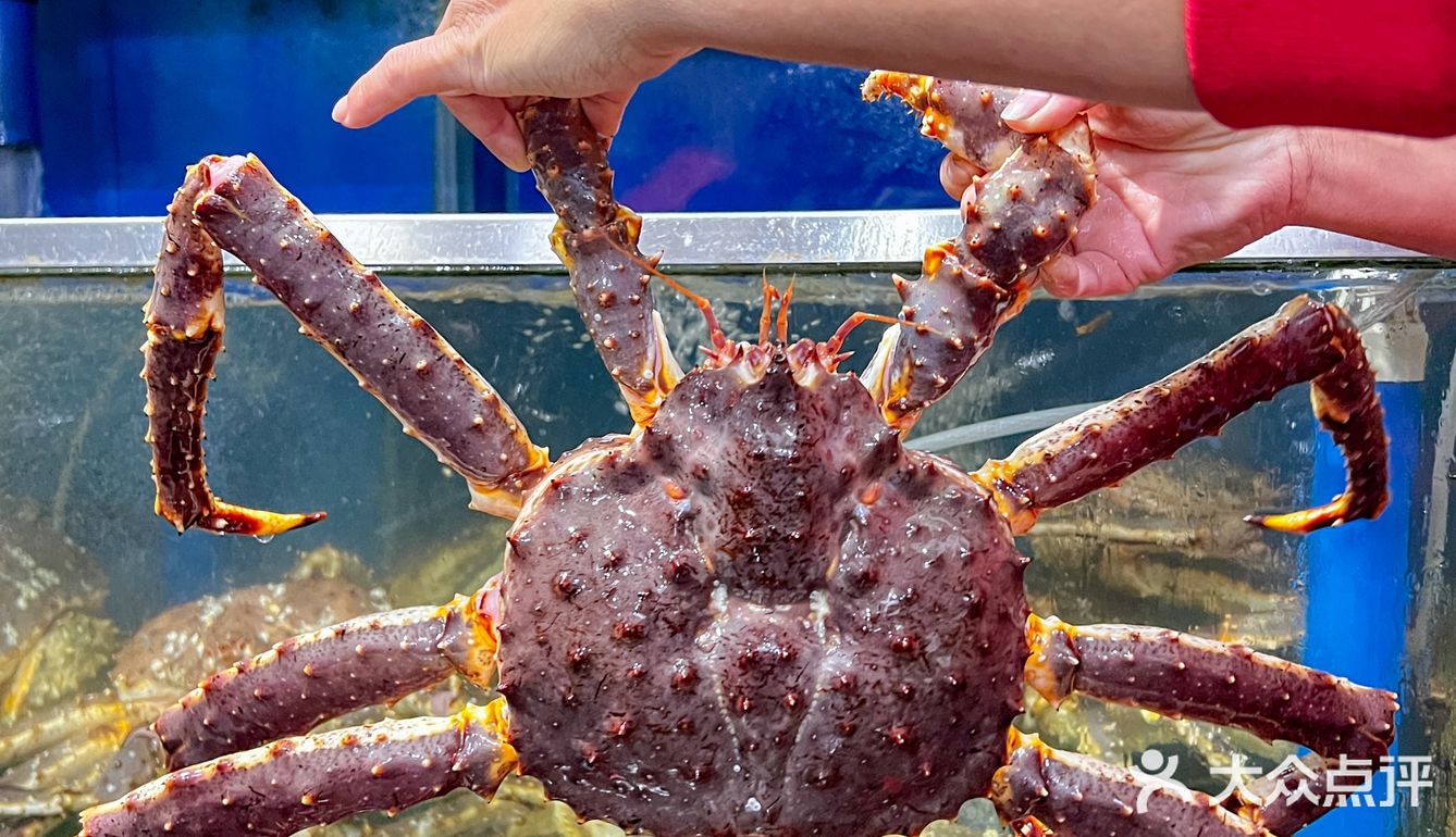 三亚旅游，强烈推荐这家❗