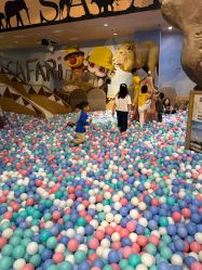 -卡通尼·Safari非洲探索乐园·生日会(金桥国际商业广场店)