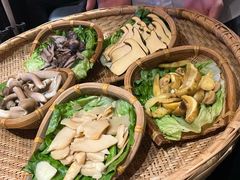 -滇野云南野生菌餐厅(陕西南路店)