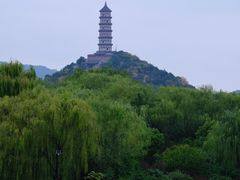 -北坞公园