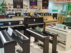 -柏斯琴行(汾阳店)