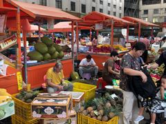 -三亚新鸿港水果一级批发市场