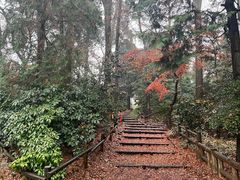 -井之头恩赐公园