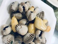 生腌血蚌-宜宾海鲜酒家·三十年老字号