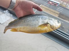 -北京盘古七星酒店