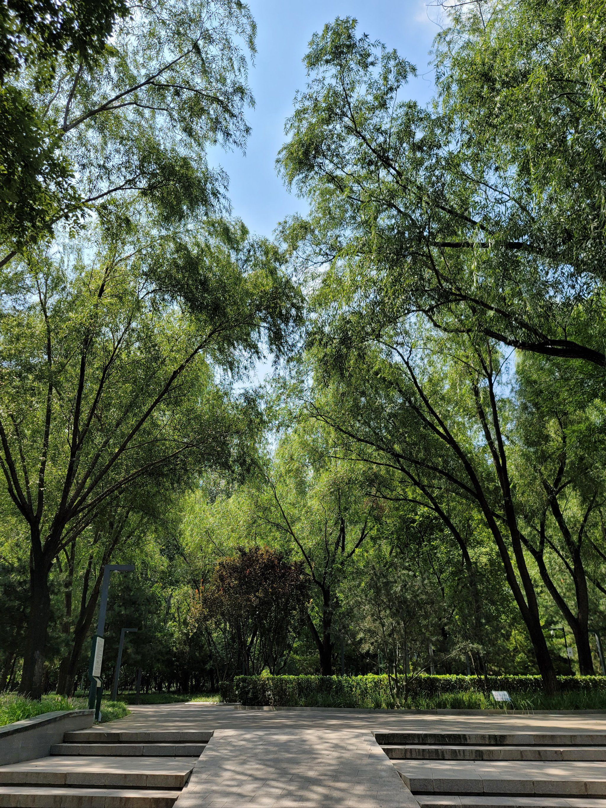 街边公园转一转!