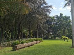 -中国科学院西双版纳热带植物园