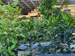 -兴芮温泉度假区