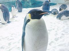 -珠海长隆海洋王国