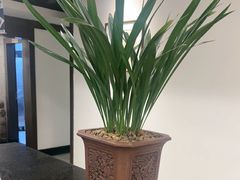 -皇城老妈·大连海鲜火锅(港湾店)