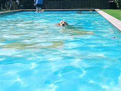 -汪说喵讲宠物乐园宠物酒店(红星美凯龙店)