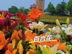 -花博汇(知音花月夜)