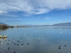 -大理洱海