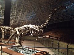 iphone_upload_pic-世界恐龙谷景区