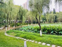 -后襄河公园