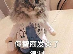 -槟城颠倒博物馆