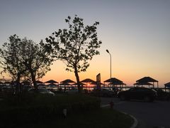 -南汇嘴观海公园