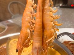 -集渔·泰式海鲜火锅(科华店)