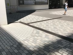 -香港大学