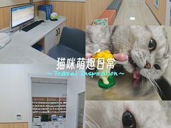 -瑞派新吉太郎宠物医院·重症转诊中心·泌尿道(嘉禾望岗院)