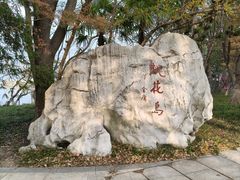 -金鸡湖桃花岛
