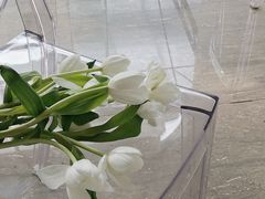 -桉树林A coffee 森林餐厅(三圣乡店)
