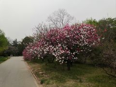 -国家植物园南园