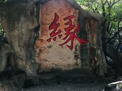 -杭州黄龙洞