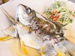 -龙的酒楼·手工早茶·顺德菜(近良路店)