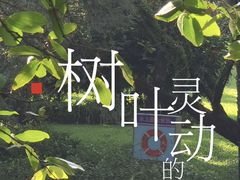 -广州珠江公园