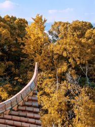 点击看大图 -东山游乐园