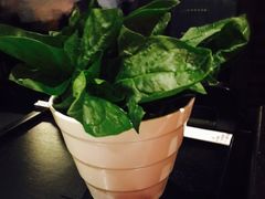 -捞王猪肚鸡火锅(财富中心店)