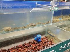 水产区-圣罗巴海鲜自助(黑金店)