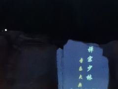 -禅宗少林·音乐大典