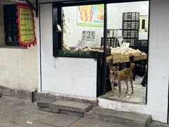 -葑门横街