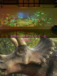 -恐龙探索乐园(磁器口店)
