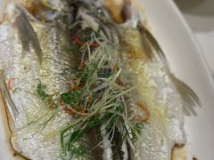 -大家食府·福建菜(FAC协盛中心庭院餐厅店)