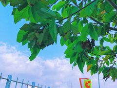 -GO! Nha Trang