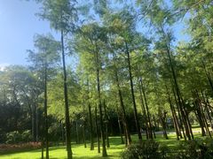 -晓港公园