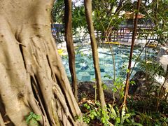 -湖泉半山温泉(湖泉生态园)