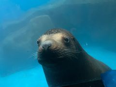 -泉城欧乐堡海洋极地世界